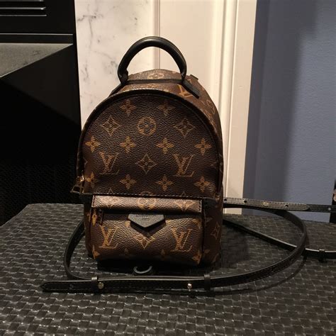 louis vuitton palm springs mini backpack|lv backpack mini price.